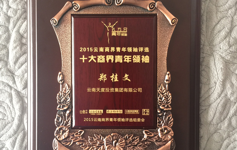 在“互聯(lián)網大時代”的背景下，天度作為本土很大和很有名的互聯(lián)網服務企業(yè)，為近萬家傳統(tǒng)企業(yè)轉型互聯(lián)網+提供了服務和幫助，獲此獎項后，我們將再接再厲，創(chuàng)造更高的社會價值